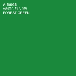#1B893B - Forest Green Color Image